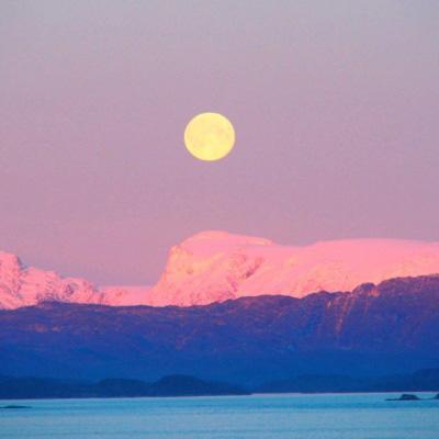 电玩城金鲨银鲨手机app下载